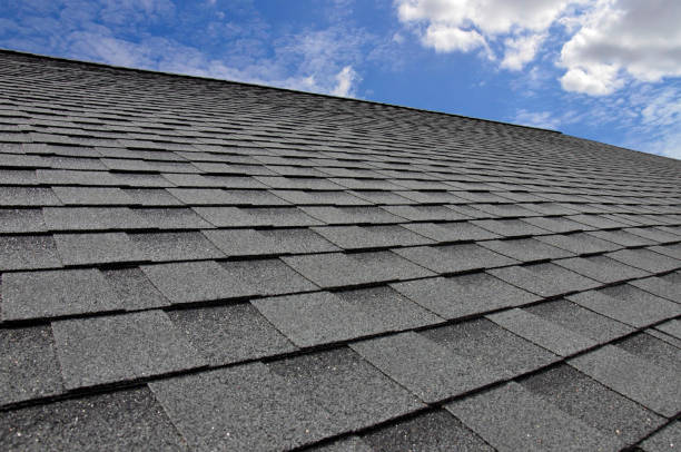Best Steel Roofing  in Southgate, FL