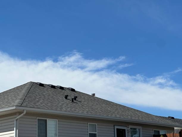 Best Roof Coating Services  in Southgate, FL